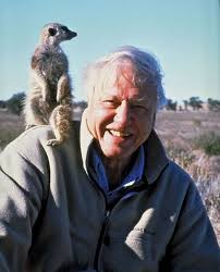 Photo of David Attenborough